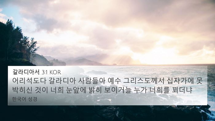 갈라디아서 3:1 KOR Bible Verse Image