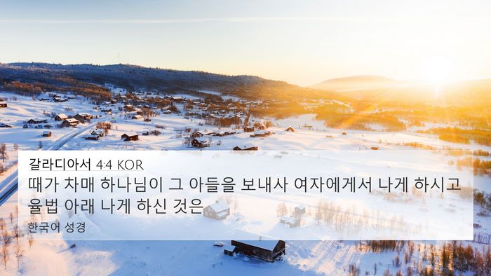 갈라디아서 4:4 KOR Bible Verse Image