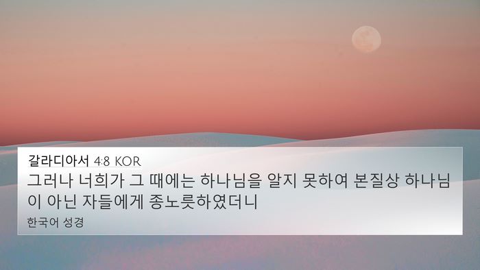 갈라디아서 4:8 KOR Bible Verse Image