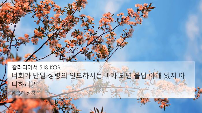 갈라디아서 5:18 KOR Bible Verse Image