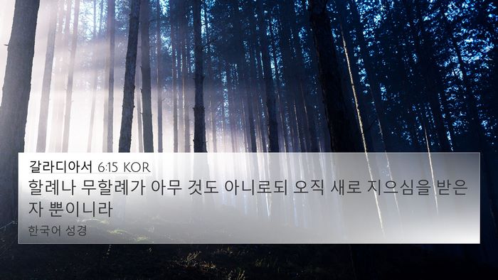 갈라디아서 6:15 KOR Bible Verse Image