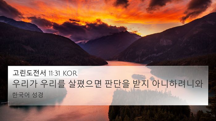 고린도전서 11:31 KOR Bible Verse Image