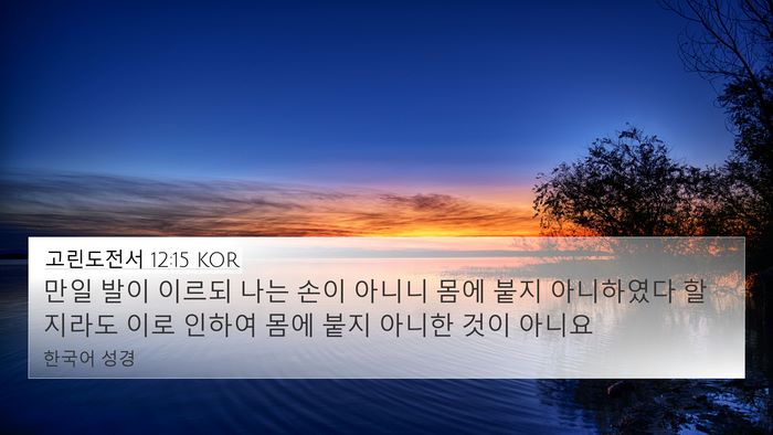 고린도전서 12:15 KOR 4K Wallpaper - 만일 발이 이르되 나는 손이 아니니 - 4K Wallpaper Bible Verse