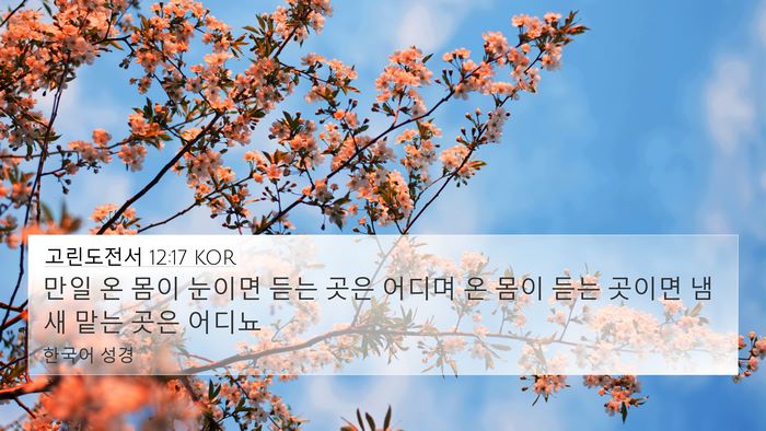 고린도전서 12:17 KOR 4K Wallpaper - 만일 온 몸이 눈이면 듣는 곳은 - 4K Wallpaper Bible Verse