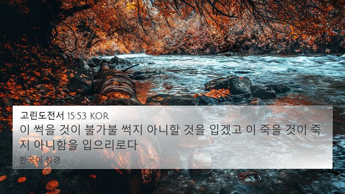 고린도전서 15:53 KOR Bible Verse Image