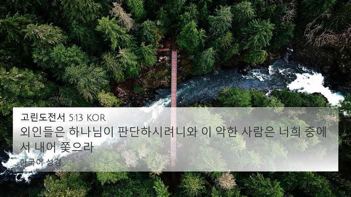 고린도전서 5:13 KOR Bible Verse Image