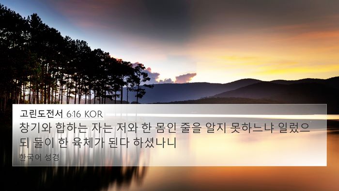 고린도전서 6:16 KOR Bible Verse Image