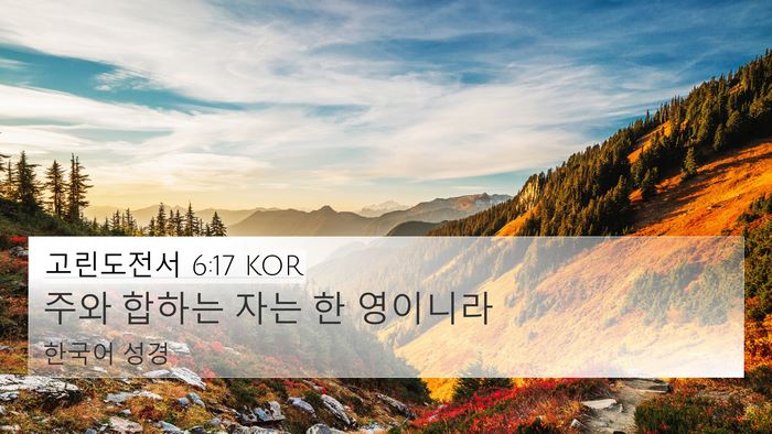고린도전서 6:17 KOR Bible Verse Image
