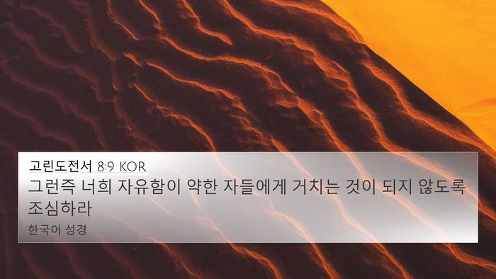 고린도전서 8:9 KOR Bible Verse Image