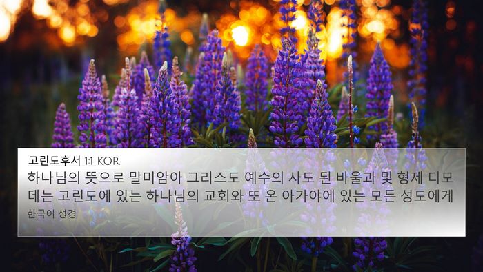 고린도후서 1:1 KOR Bible Verse Image