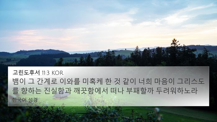 고린도후서 11:3 KOR Bible Verse Image