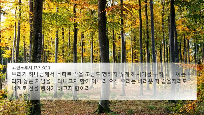 고린도후서 13:7 KOR 4K Wallpaper - 우리가 하나님께서 너희로 악을 - 4K Wallpaper Bible Verse