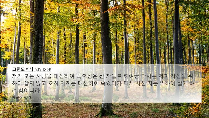 고린도후서 5:15 KOR Bible Verse Image