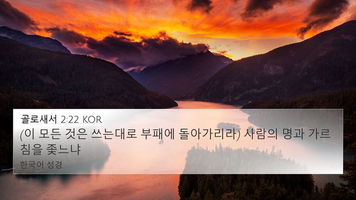 골로새서 2:22 KOR Bible Verse Image