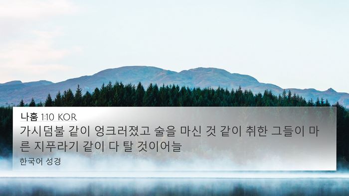 나훔 1:10 KOR Bible Verse Image