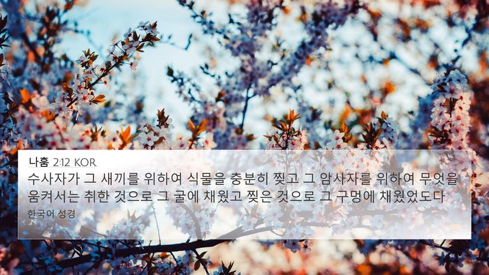 나훔 2:12 KOR Bible Verse Image