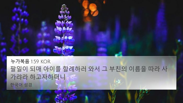 누가복음 1:59 KOR Bible Verse Image