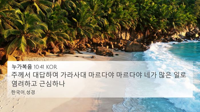 누가복음 10:41 KOR Bible Verse Image