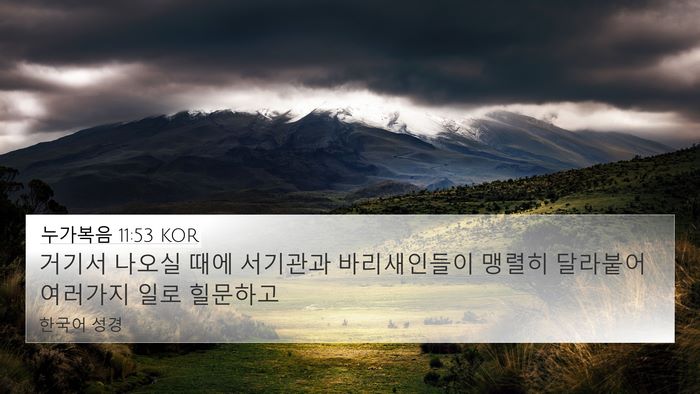 누가복음 11:53 KOR Bible Verse Image