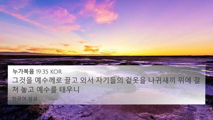 누가복음 19:35 KOR Bible Verse Image