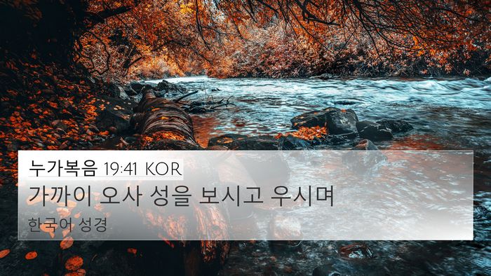 누가복음 19:41 KOR Bible Verse Image