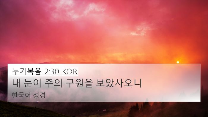누가복음 2:30 KOR Bible Verse Image