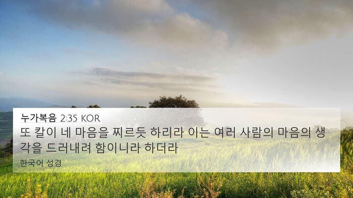 누가복음 2:35 KOR 4K Wallpaper - 또 칼이 네 마음을 찌르듯 하리라 - 4K Wallpaper Bible Verse