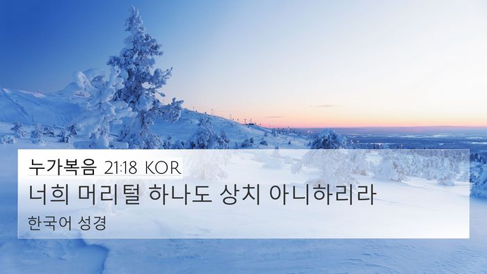 누가복음 21:18 KOR Bible Verse Image
