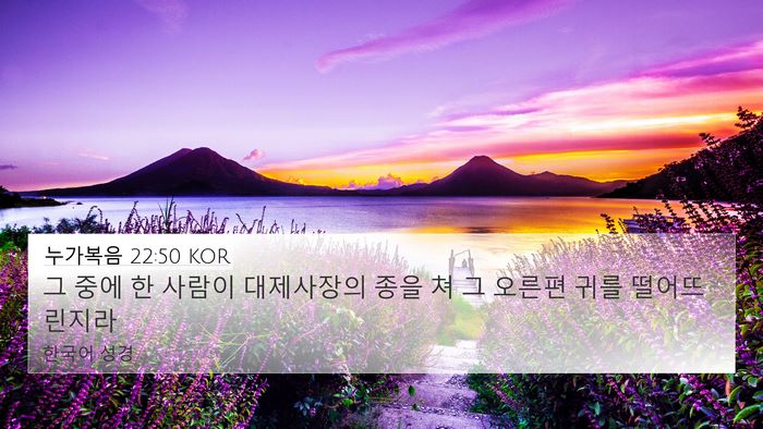 누가복음 22:50 KOR 4K Wallpaper - 그 중에 한 사람이 대제사장의 종을 - 4K Wallpaper Bible Verse