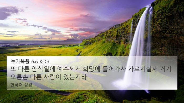 누가복음 6:6 KOR Bible Verse Image