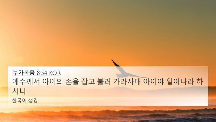 누가복음 8:54 KOR Bible Verse Image