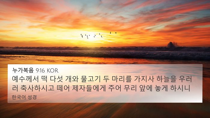 누가복음 9:16 KOR Bible Verse Image