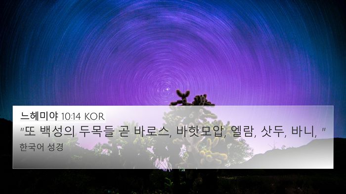 느헤미야 10:14 KOR Bible Verse Image