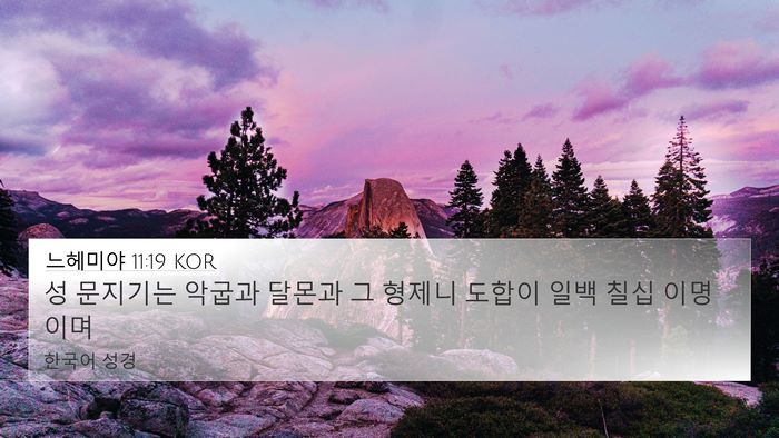 느헤미야 11:19 KOR Bible Verse Image