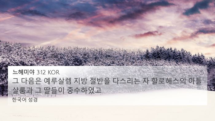 느헤미야 3:12 KOR Bible Verse Image