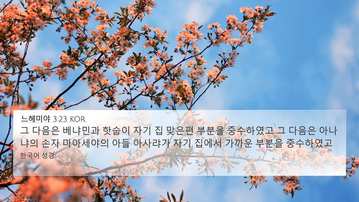 느헤미야 3:23 KOR Bible Verse Image