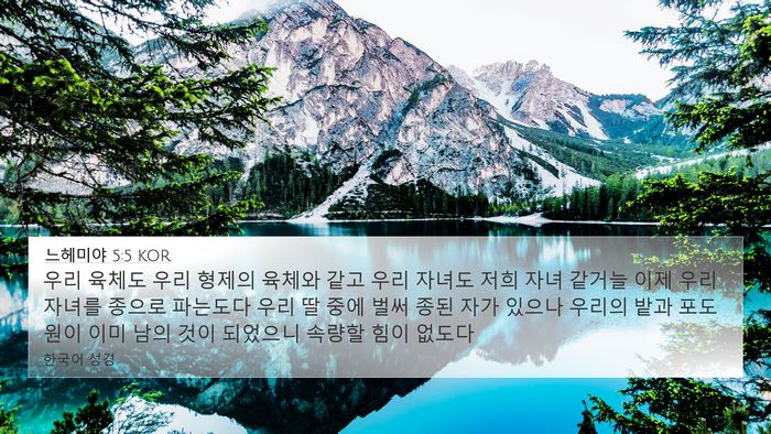 느헤미야 5:5 KOR Bible Verse Image