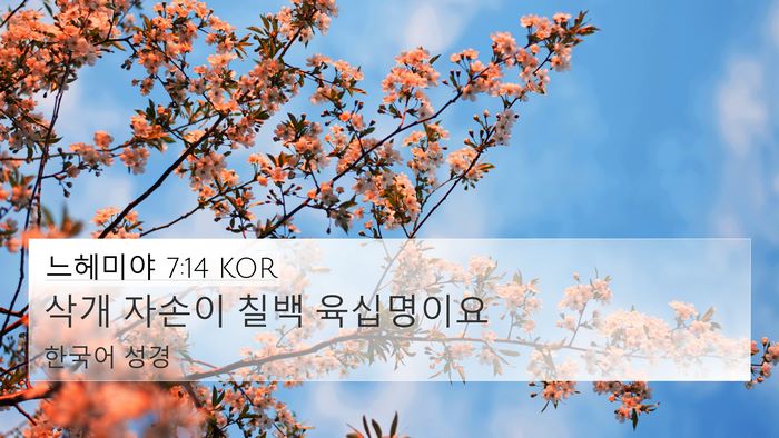 느헤미야 7:14 KOR 4K Wallpaper - 삭개 자손이 칠백 - 4K Wallpaper Bible Verse