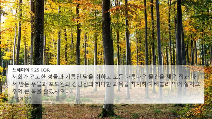 느헤미야 9:25 KOR Bible Verse Image