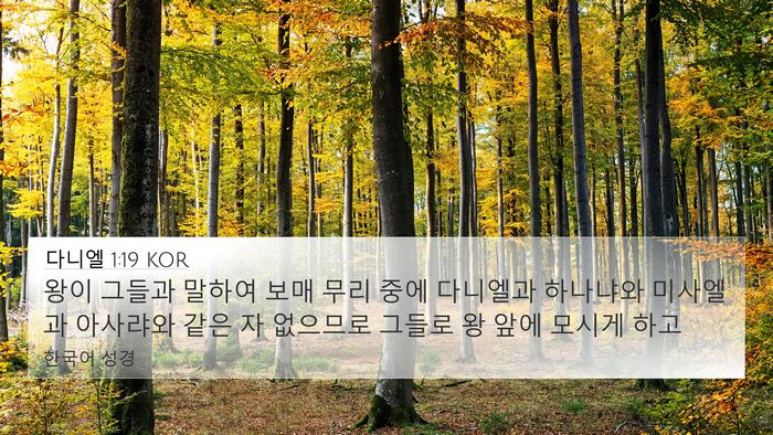 다니엘 1:19 KOR Bible Verse Image