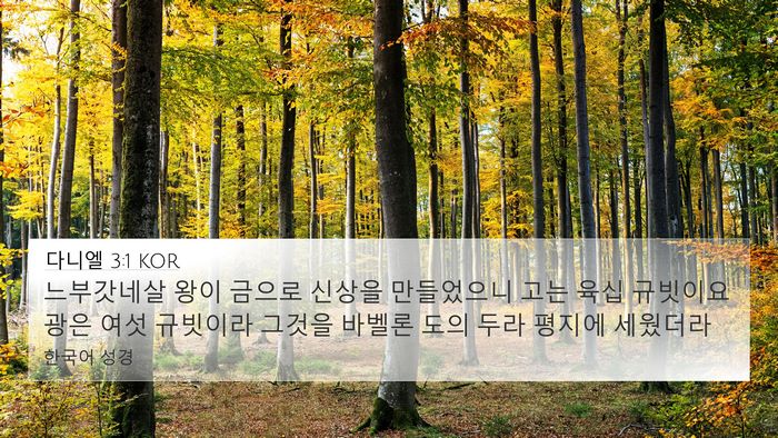 다니엘 3:1 KOR Bible Verse Image