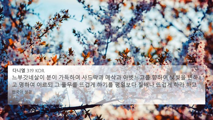 다니엘 3:19 KOR Bible Verse Image