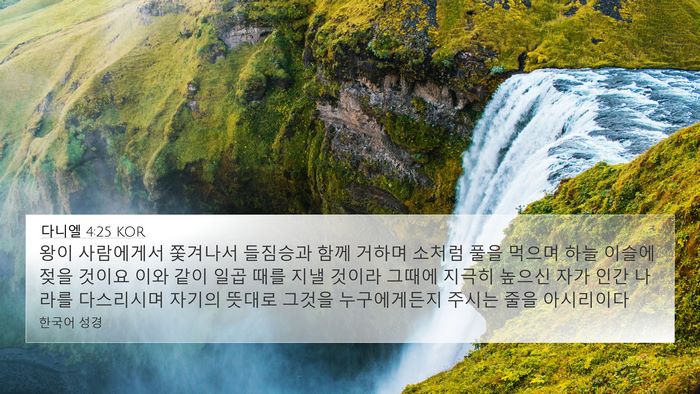 다니엘 4:25 KOR Bible Verse Image