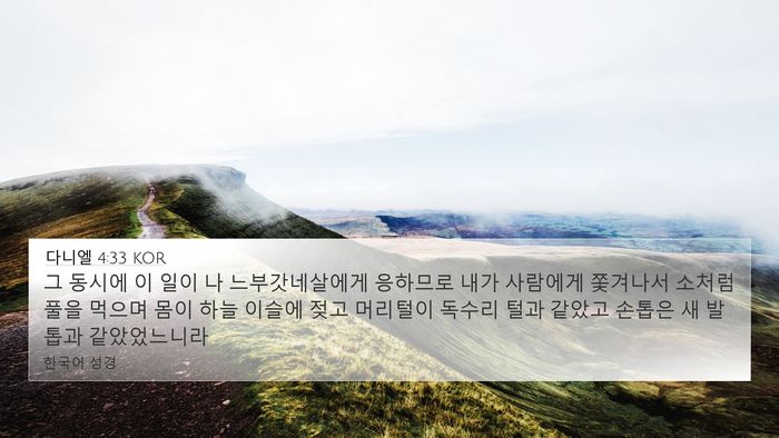 다니엘 4:33 KOR Bible Verse Image