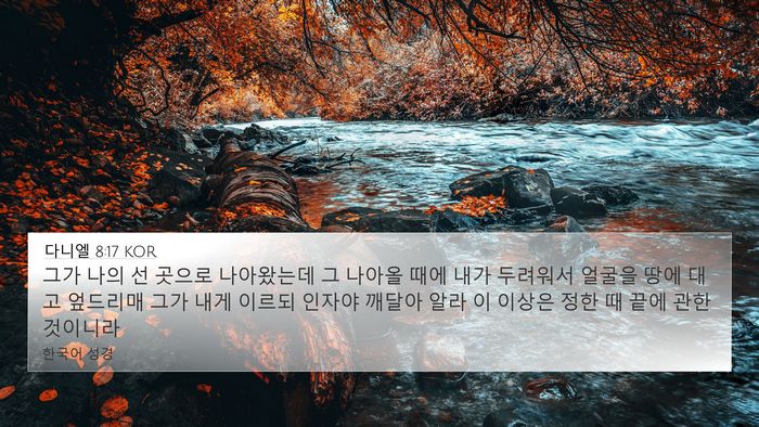 다니엘 8:17 KOR Bible Verse Image