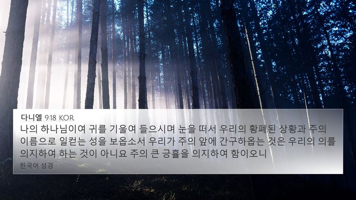 다니엘 9:18 KOR Bible Verse Image
