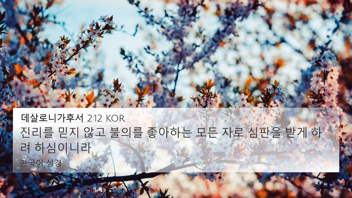 데살로니가후서 2:12 KOR Bible Verse Image
