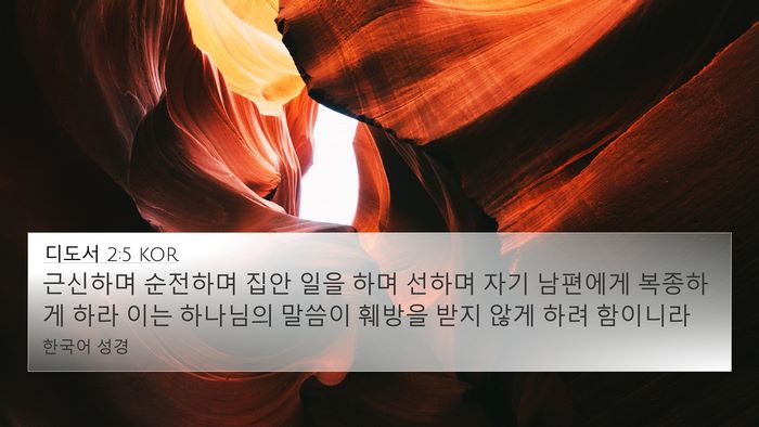 디도서 2:5 KOR Bible Verse Image