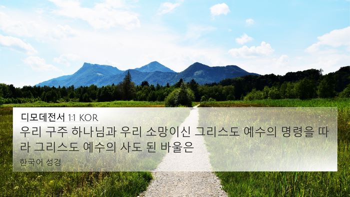 디모데전서 1:1 KOR Bible Verse Image