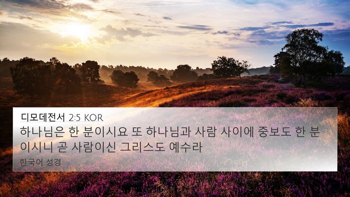 디모데전서 2:5 KOR Bible Verse Image